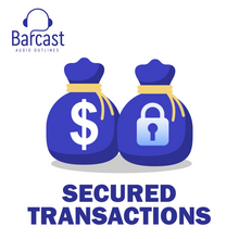 Load image into Gallery viewer, Multistate Essay Exam (MEE) Crash Course
